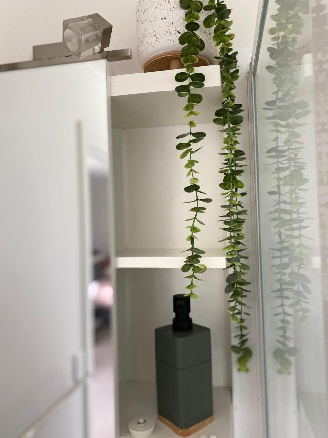 Glenie Cottage Bnb Guesthouse Timaru Zewnętrze zdjęcie